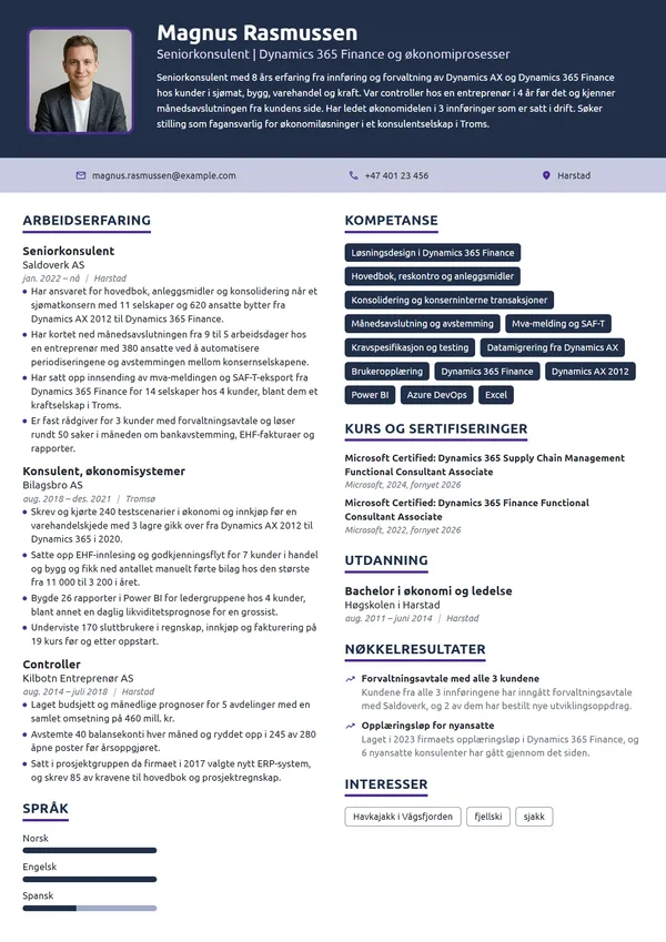 CV-eksempel for seniorkonsulent, økonomisystemer